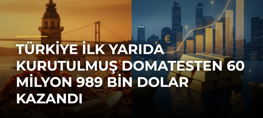 Türkiye ilk yarıda kurutulmuş domatesten 60 milyon 989 bin dolar kazandı