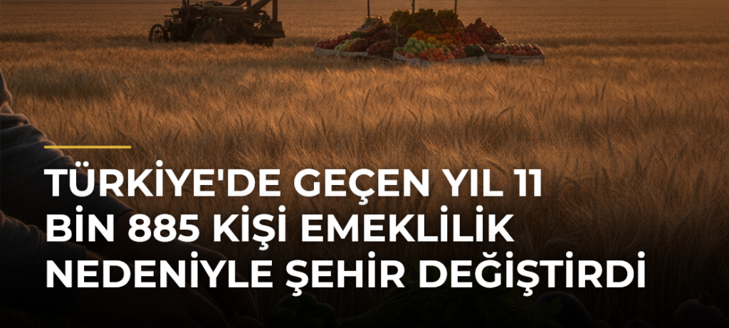 Türkiye’de Geçen Yıl 11 Bin 885 Kişi Emeklilik Nedeniyle Şehir Değiştirdi