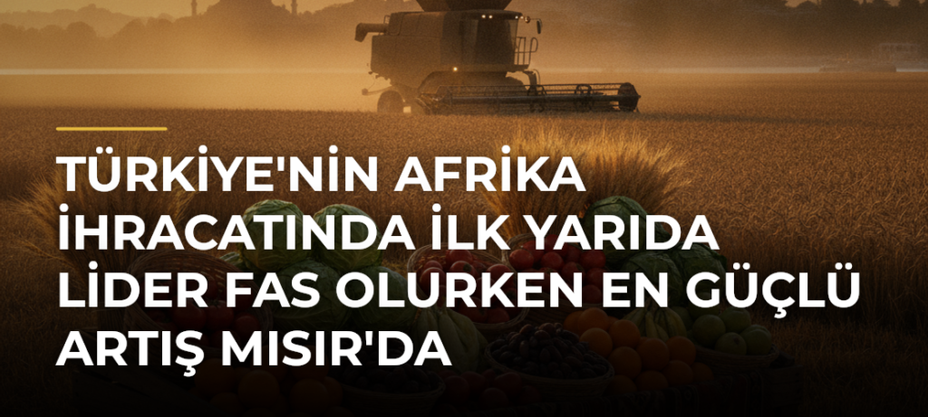 Türkiye’nin Afrika İhracatında İlk Yarıda Lider Fas Olurken En Güçlü Artış Mısır’da