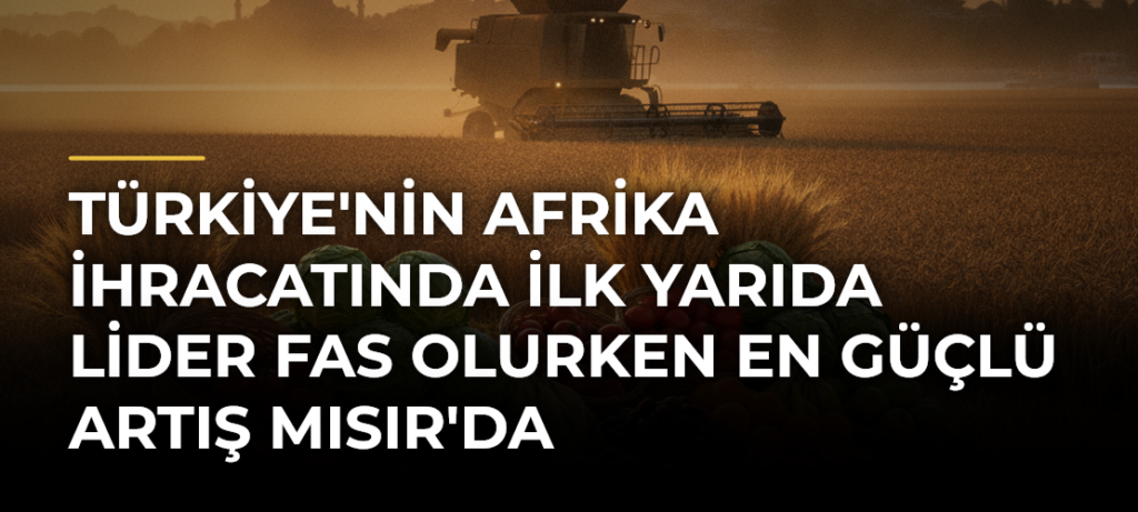 Türkiye’nin Afrika İhracatında İlk Yarıda Lider Fas Olurken En Güçlü Artış Mısır’da