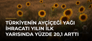Türkiyenin ayçiçeği yağı ihracatı yılın ilk yarısında yüzde 20,1 arttı
