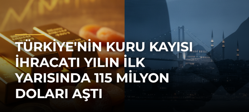 Türkiye’nin kuru kayısı ihracatı yılın ilk yarısında 115 milyon doları aştı