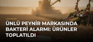 Ünlü peynir markasında bakteri alarmı: Ürünler toplatıldı