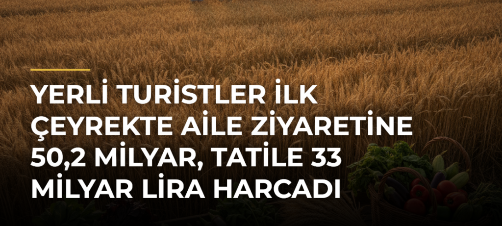 Yerli turistler ilk çeyrekte aile ziyaretine 50,2 milyar, tatile 33 milyar lira harcadı