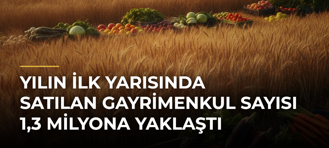 Yılın ilk yarısında satılan gayrimenkul sayısı 1,3 milyona yaklaştı - Mirat Haber