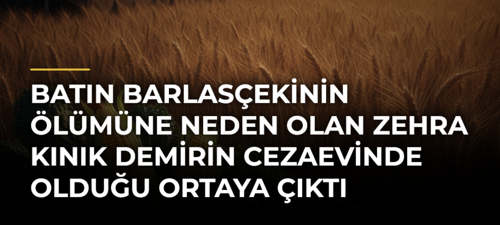 Batın Barlasçekinin ölümüne neden olan Zehra Kınık Demirin cezaevinde olduğu ortaya çıktı