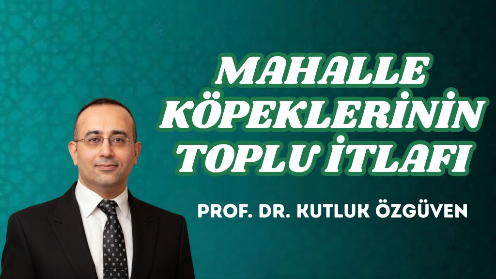 MAHALLE KÖPEKLERİNİN TOPLU İTLAFI