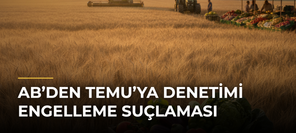 AB’den Temu’ya denetimi engelleme suçlaması