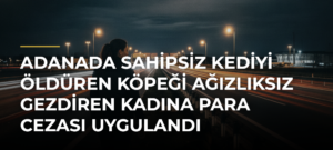 Adanada sahipsiz kediyi öldüren köpeği ağızlıksız gezdiren kadına para cezası uygulandı
