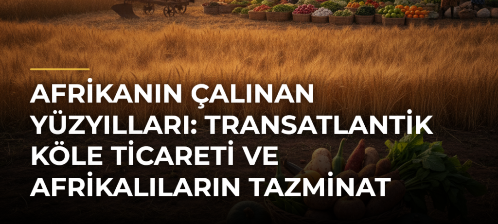 Afrikanın çalınan yüzyılları: Transatlantik köle ticareti ve Afrikalıların tazminat talepleri