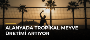 Alanyada Tropikal Meyve Üretimi Artıyor