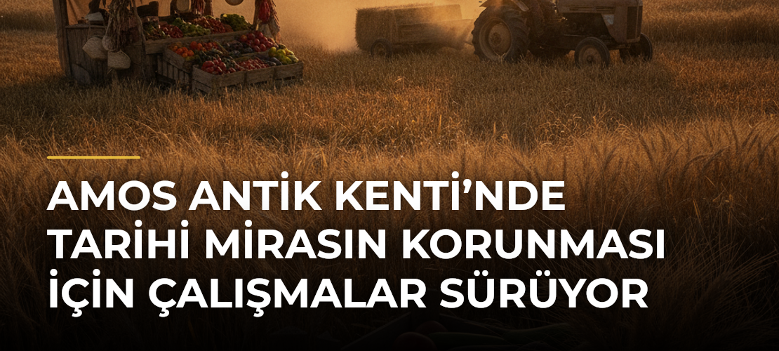 Amos Antik Kenti’nde Tarihi Mirasın Korunması İçin Çalışmalar Sürüyor - Mirat Haber