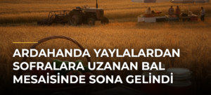 Ardahanda yaylalardan sofralara uzanan bal mesaisinde sona gelindi