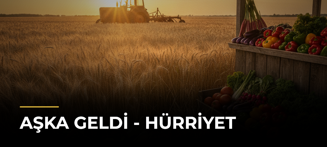 Aşka Geldi - Hürriyet