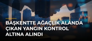 Başkentte ağaçlık alanda çıkan yangın kontrol altına alındı