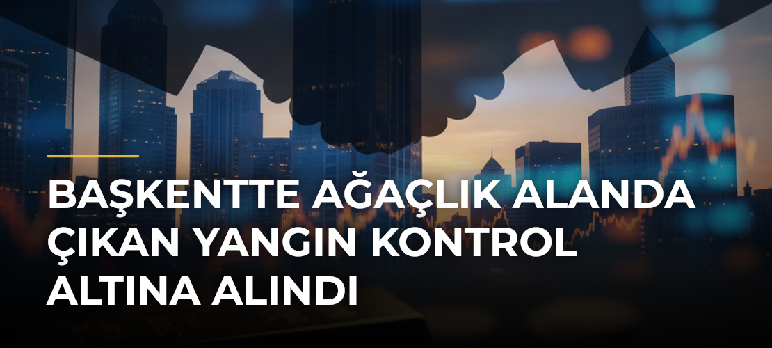 Başkentte ağaçlık alanda çıkan yangın kontrol altına alındı - Mirat Haber