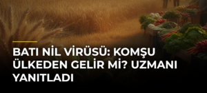 Batı Nil Virüsü: Komşu Ülkeden Gelir Mi? Uzmanı Yanıtladı