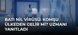 Batı Nil Virüsü: Komşu Ülkeden Gelir Mi? Uzmanı Yanıtladı