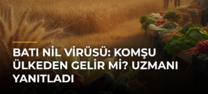 Batı Nil Virüsü: Komşu Ülkeden Gelir Mi? Uzmanı Yanıtladı