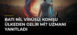 Batı Nil Virüsü: Komşu Ülkeden Gelir Mi? Uzmanı Yanıtladı