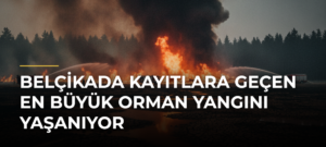 Belçikada kayıtlara geçen en büyük orman yangını yaşanıyor