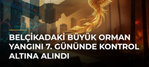 Belçikadaki büyük orman yangını 7. gününde kontrol altına alındı