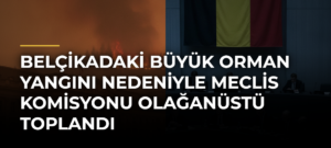 Belçikadaki Büyük Orman Yangını Nedeniyle Meclis Komisyonu Olağanüstü Toplandı