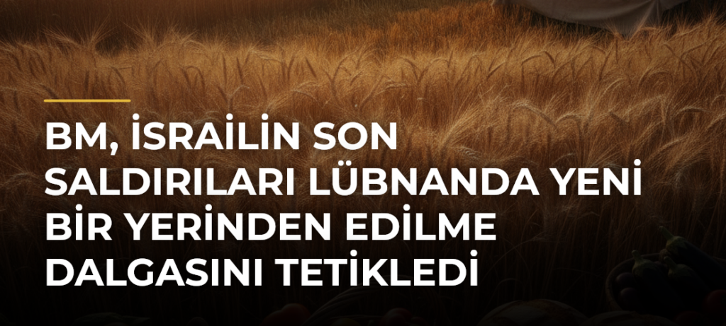 BM, İsrailin Son Saldırıları Lübnanda Yeni Bir Yerinden Edilme Dalgasını Tetikledi