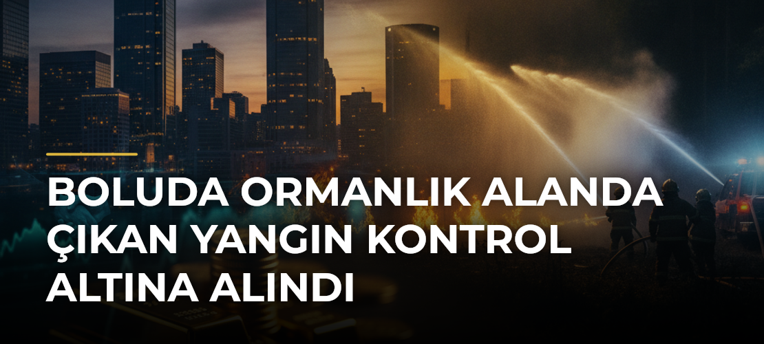 Boluda ormanlık alanda çıkan yangın kontrol altına alındı - Haber Sitesi