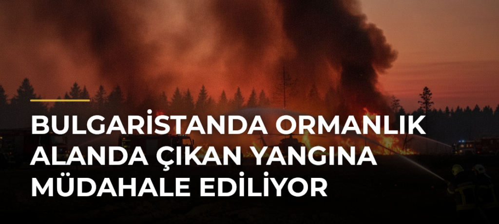 Bulgaristanda ormanlık alanda çıkan yangına müdahale ediliyor