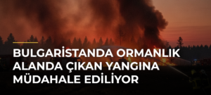 Bulgaristanda ormanlık alanda çıkan yangına müdahale ediliyor