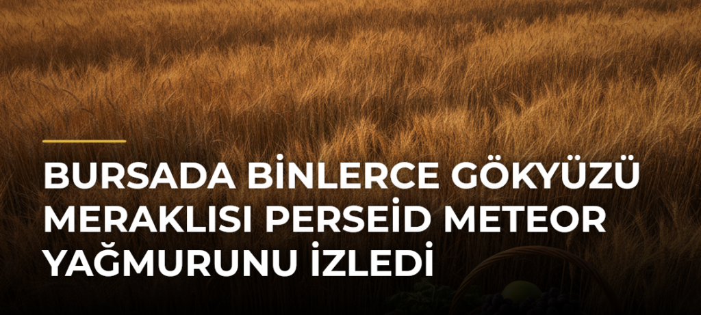 Bursada Binlerce Gökyüzü Meraklısı Perseid Meteor Yağmurunu İzledi