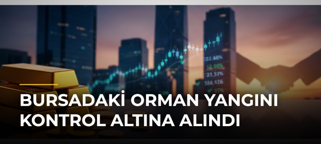 Bursadaki Orman Yangını Kontrol Altına Alındı