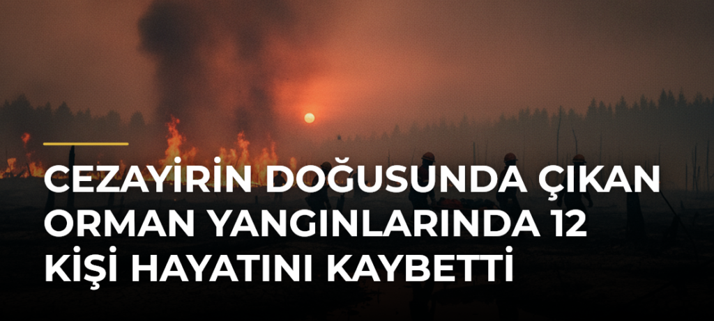 Cezayirin doğusunda çıkan orman yangınlarında 12 kişi hayatını kaybetti