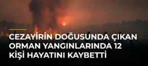 Cezayirin doğusunda çıkan orman yangınlarında 12 kişi hayatını kaybetti