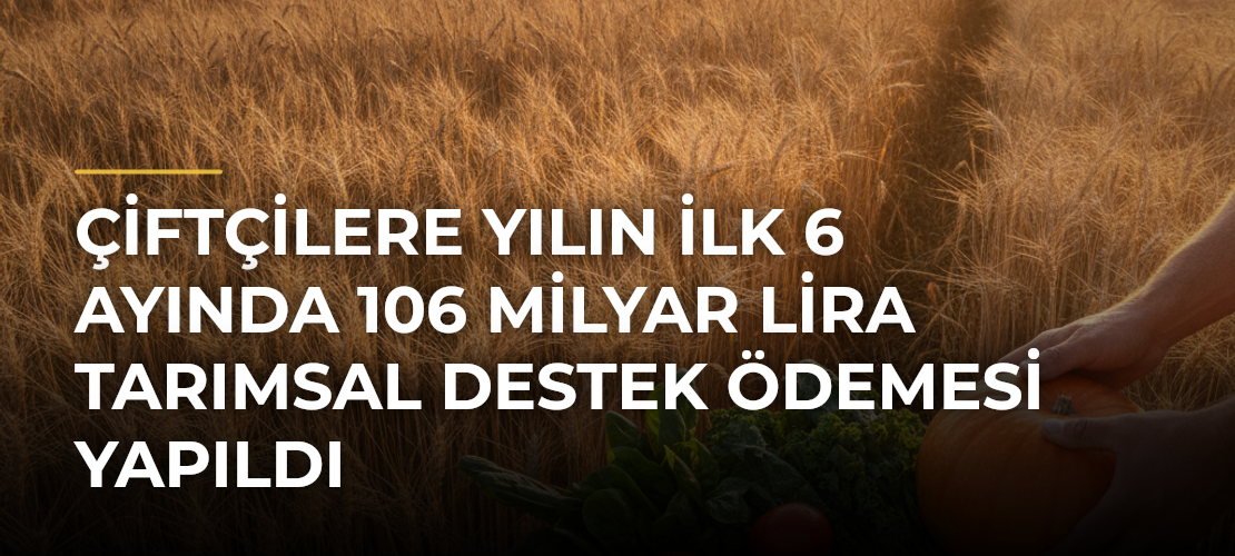 Çiftçilere yılın ilk 6 ayında 106 milyar lira tarımsal destek ödemesi yapıldı - Mirat Haber