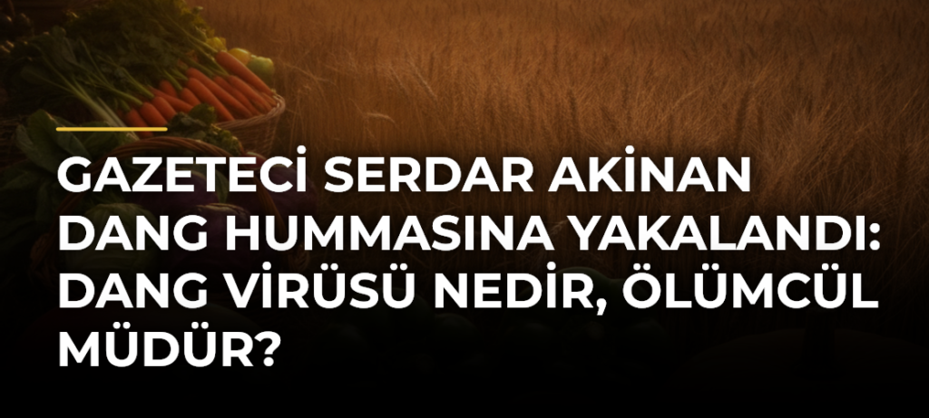 Gazeteci Serdar Akinan Dang Hummasına yakalandı: Dang virüsü nedir, ölümcül müdür?