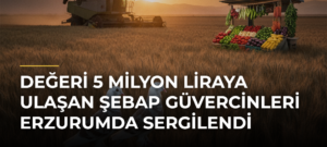 Değeri 5 milyon liraya ulaşan şebap güvercinleri Erzurumda sergilendi