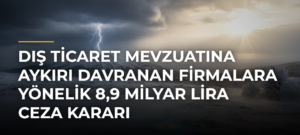 Dış Ticaret Mevzuatına Aykırı Davranan Firmalara Yönelik 8,9 Milyar Lira Ceza Kararı