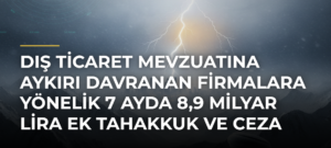 Dış Ticaret Mevzuatına Aykırı Davranan Firmalara Yönelik 7 Ayda 8,9 Milyar Lira Ek Tahakkuk ve Ceza Kararı