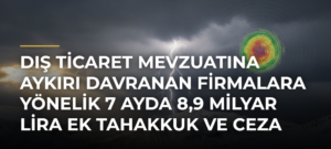 Dış ticaret mevzuatına aykırı davranan firmalara yönelik 7 ayda 8,9 milyar lira ek tahakkuk ve ceza kararı
