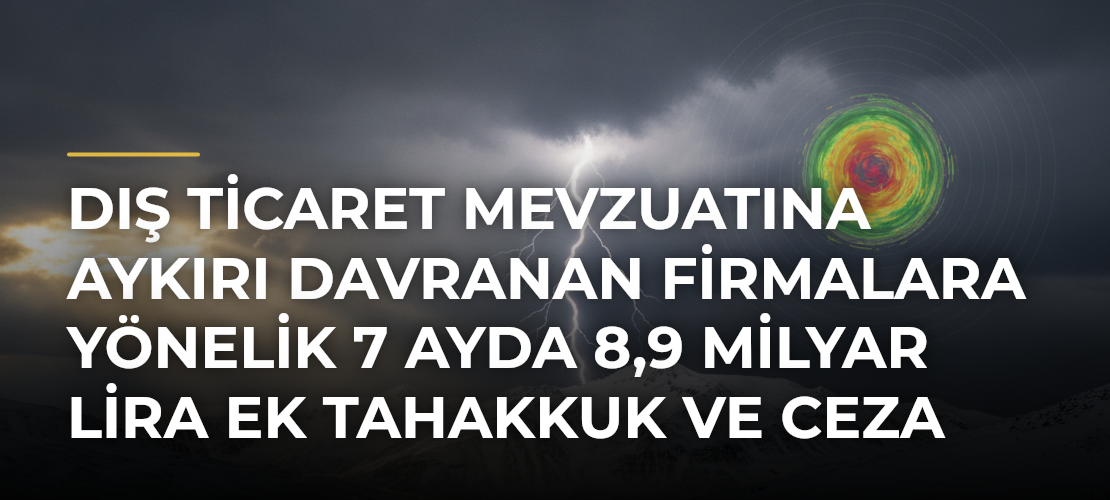 Dış ticaret mevzuatına aykırı davranan firmalara yönelik 7 ayda 8,9 milyar lira ek tahakkuk ve ceza kararı - Mirat Haber