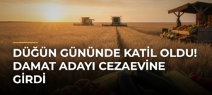 Düğün Gününde Katil Oldu! Damat Adayı Cezaevine Girdi