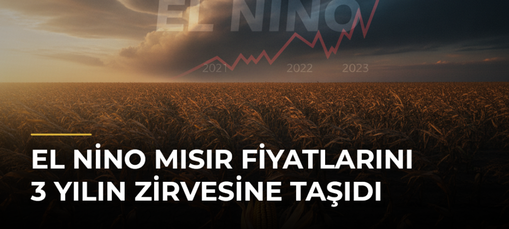 El Nino Mısır Fiyatlarını 3 Yılın Zirvesine Taşıdı