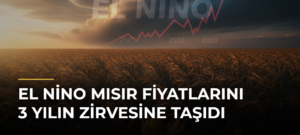 El Nino Mısır Fiyatlarını 3 Yılın Zirvesine Taşıdı