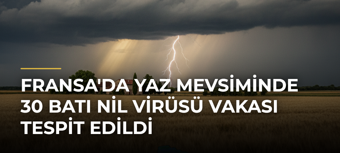 Fransa'da Yaz Mevsiminde 30 Batı Nil Virüsü Vakası Tespit Edildi
