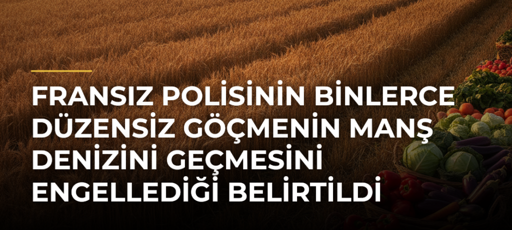 Fransız polisinin binlerce düzensiz göçmenin Manş Denizini geçmesini engellediği belirtildi