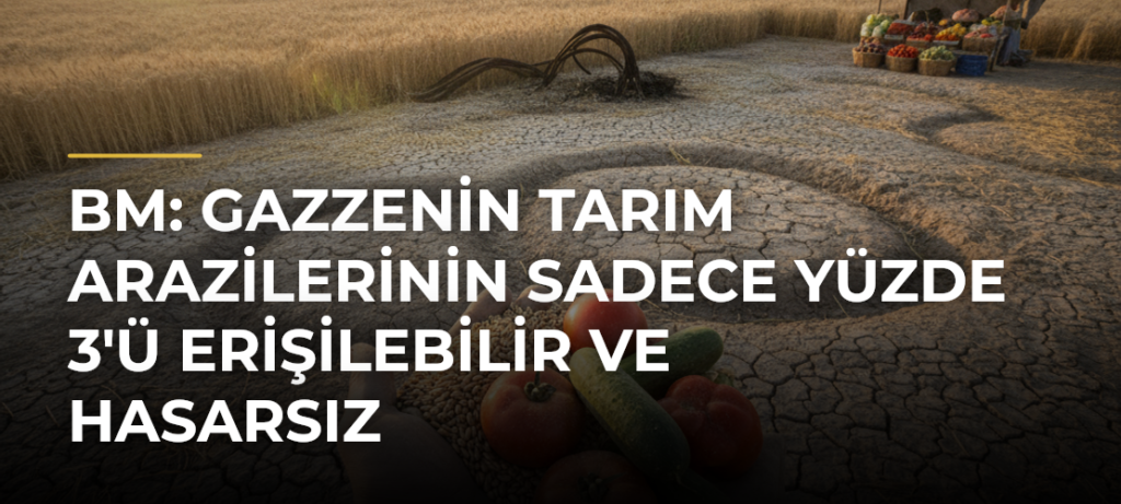 BM: Gazzenin tarım arazilerinin sadece yüzde 3’ü erişilebilir ve hasarsız