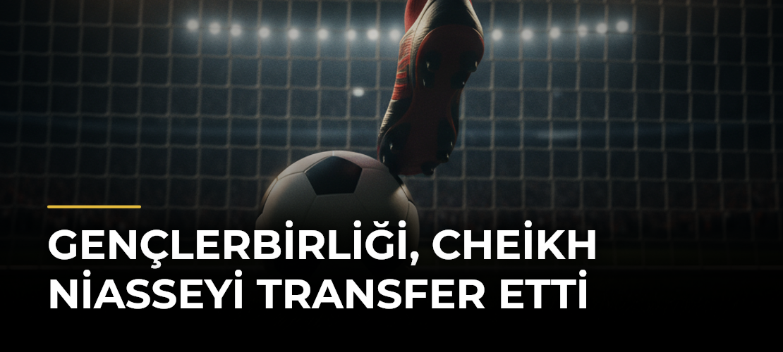 Gençlerbirliği, Cheikh Niasseyi transfer etti