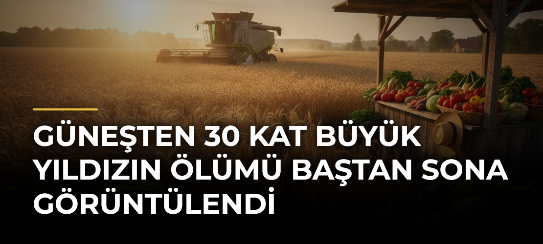 Güneşten 30 Kat Büyük Yıldızın Ölümü Baştan Sona Görüntülendi